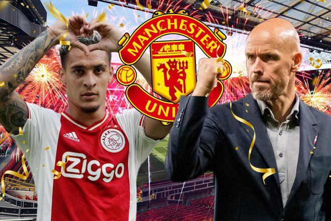 有引起任何 有引起任何